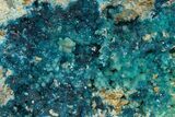 Blue Veszelyite Crystals on Botryoidal Hemimorphite - Congo #312390-1